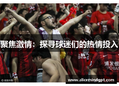 聚焦激情：探寻球迷们的热情投入